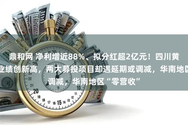 鼎和网 净利增近88%、拟分红超2亿元！四川黄金2025年业绩创新高，两大募投项目却遇延期或调减，华南地区“零营收”
